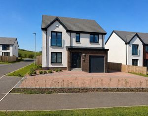 Photo 31- click for photo gallery